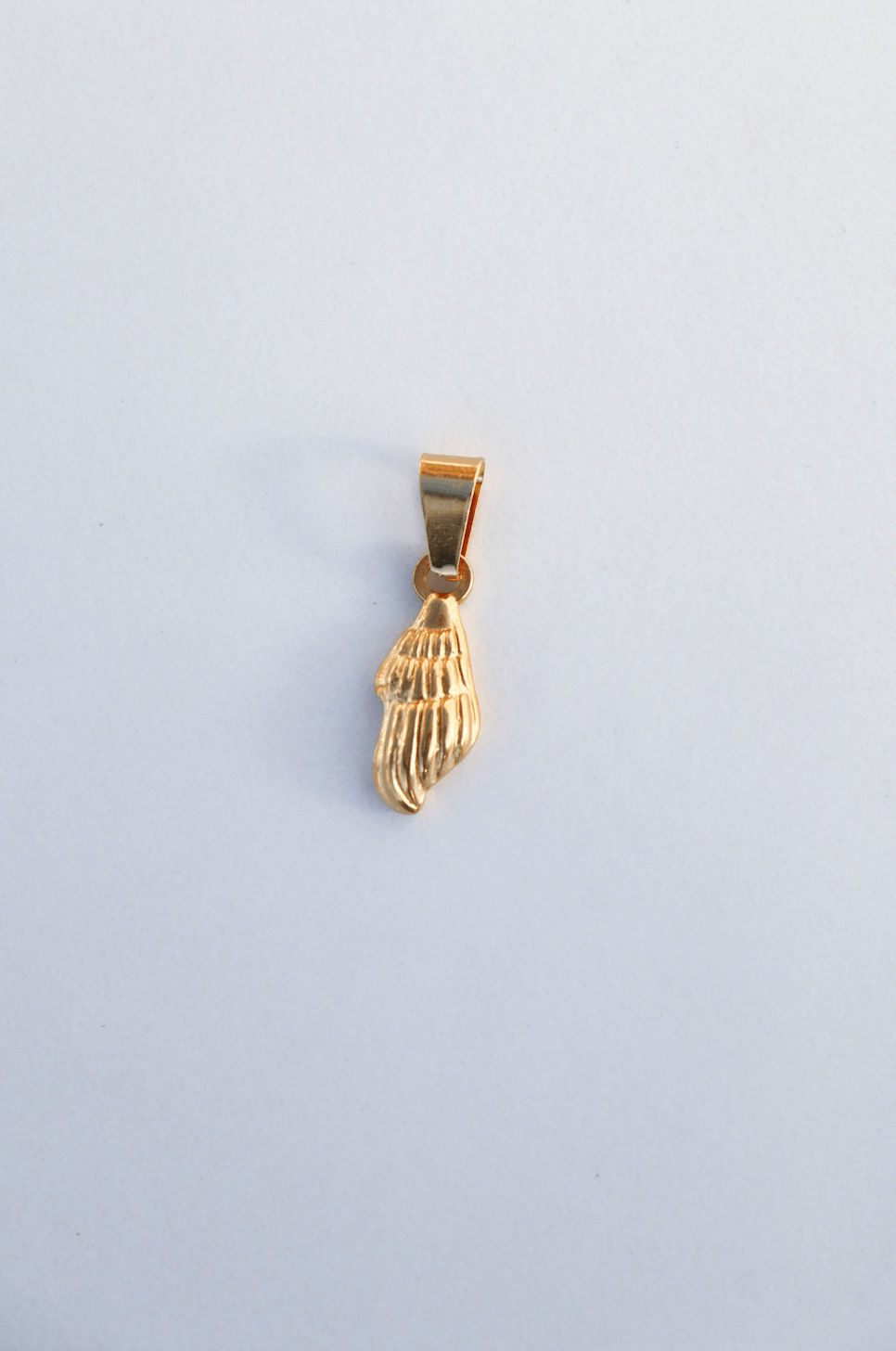 Special shell charm